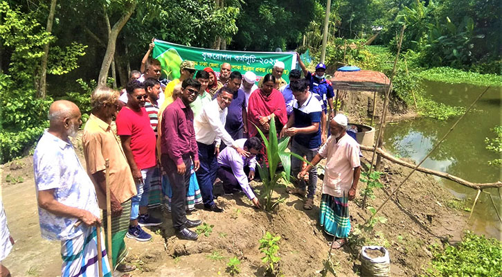 নবাবগঞ্জে বিএডিসির বৃক্ষরোপণ কর্মসূচির উদ্বোধন